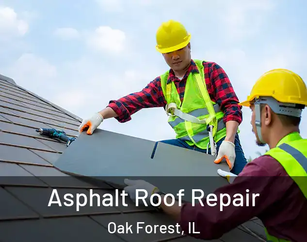  Asphalt Roof Repair Oak Forest, IL