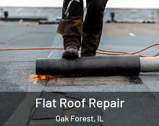  Flat Roof Repair Oak Forest, IL