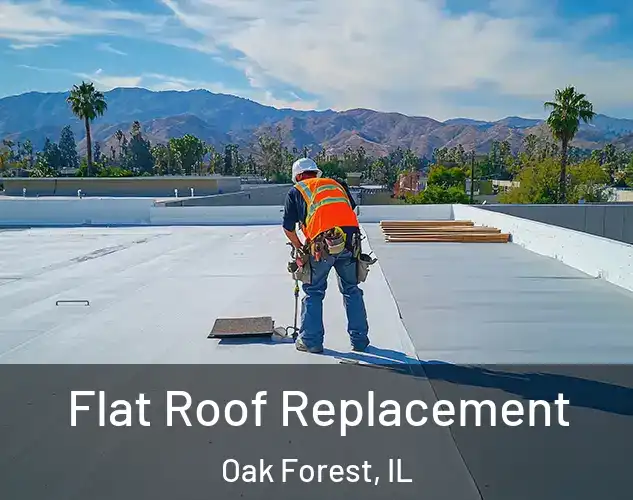  Flat Roof Replacement Oak Forest, IL