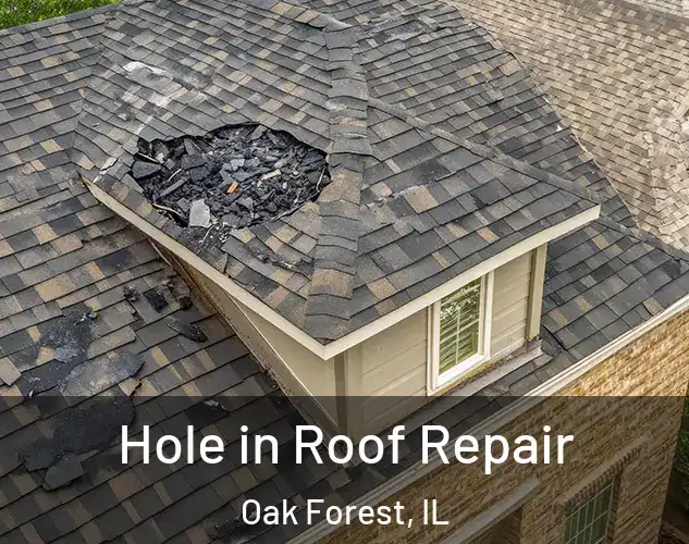  Hole in Roof Repair Oak Forest, IL