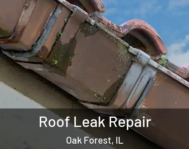  Roof Leak Repair Oak Forest, IL
