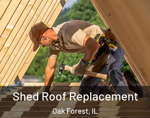  Shed Roof Replacement Oak Forest, IL