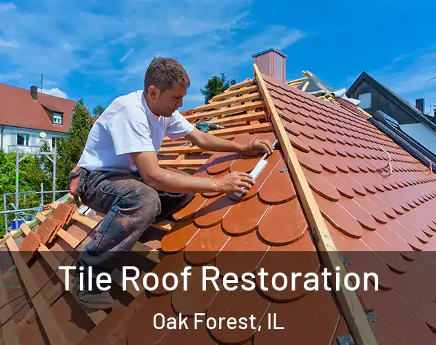  Tile Roof Restoration Oak Forest, IL